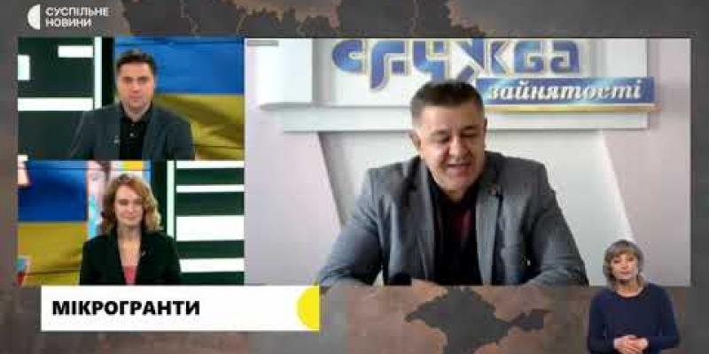 Вбудована мініатюра для Мікрогранти. Результати VI хвилі