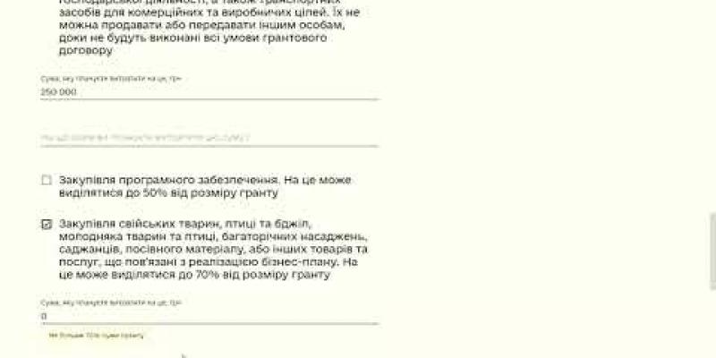 Вбудована мініатюра для Рекомендації щодо заповнення заявки в Дії